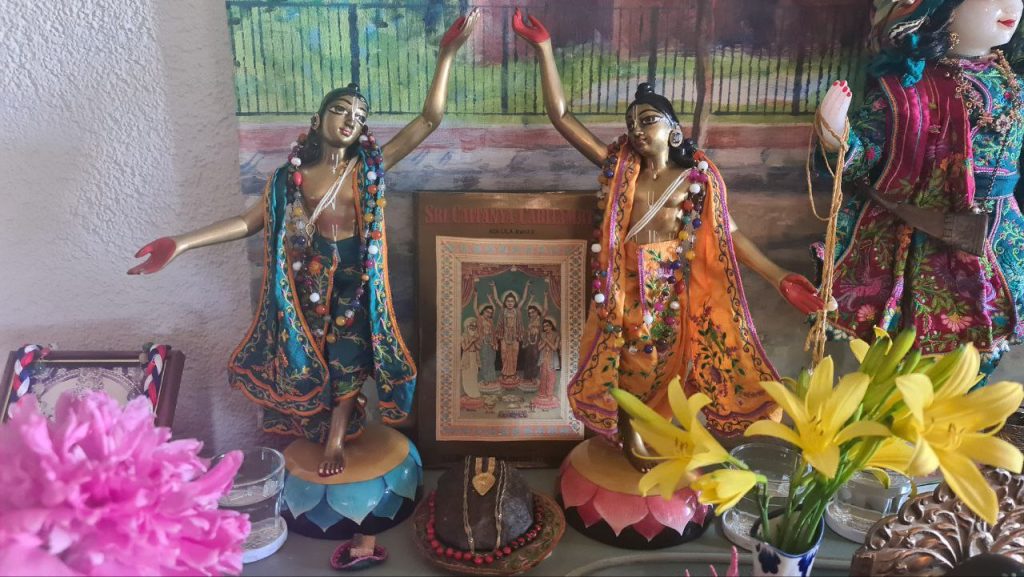 publikations publikations